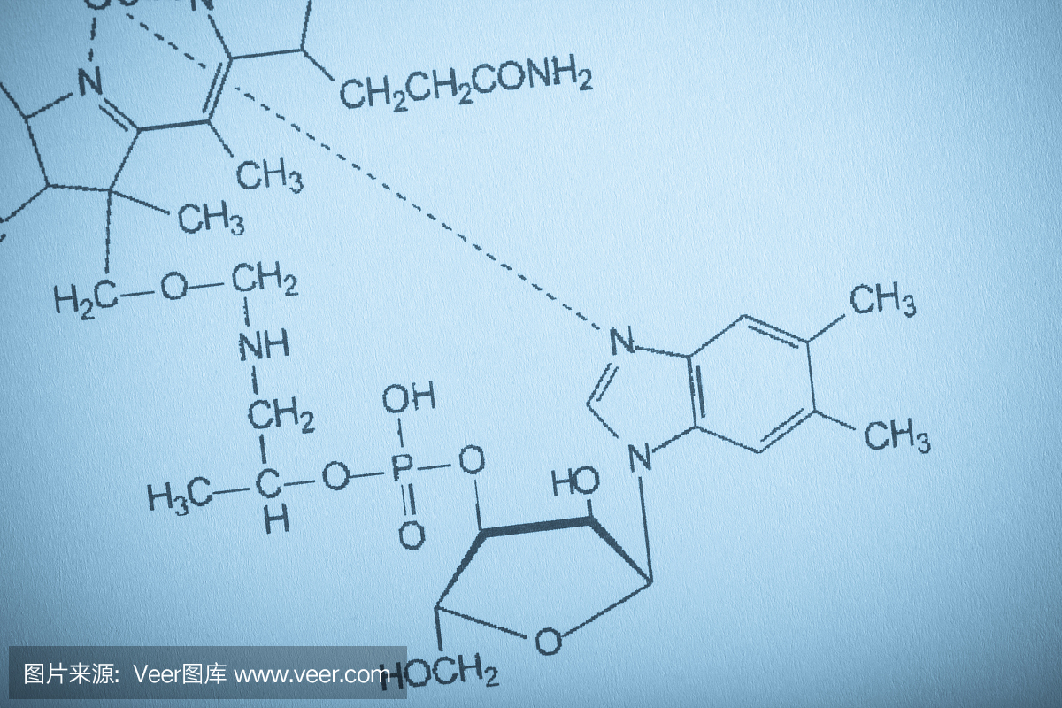 维生素分子在屏幕上的结构图