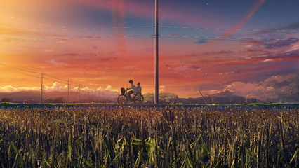 最火电脑桌面壁纸