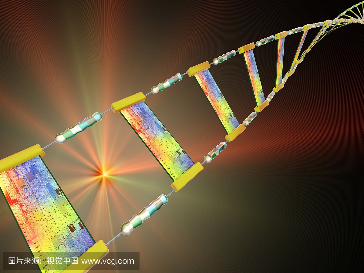 计算机设备,生物学,螺旋,联系