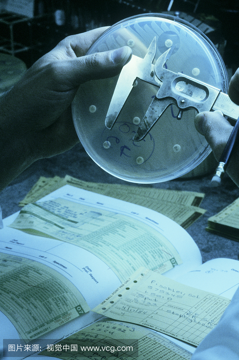 细菌抗生素敏感性试验。将含有不同抗生素的薄