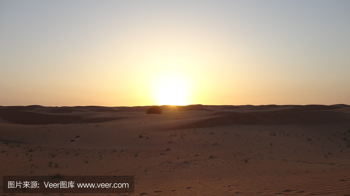 在迪拜沙漠夕阳
