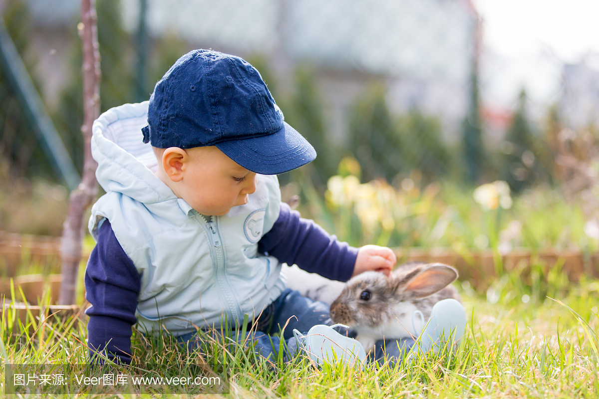 可爱的小宝贝男孩,小孩在公园玩小兔子