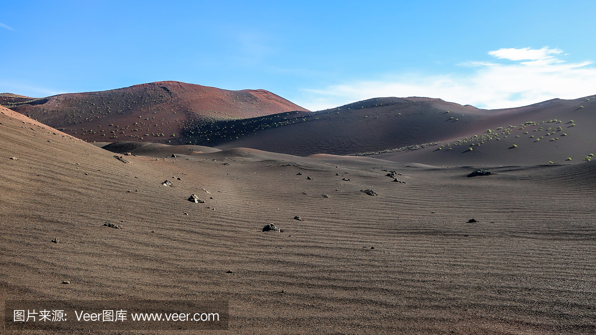 瑞典,北美歌雀,灰,Timanfaya National Park