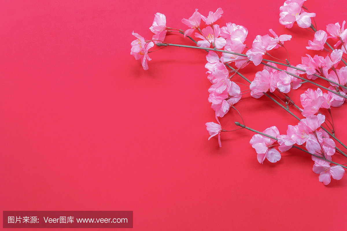 春节,大年初三,春节,正月初一