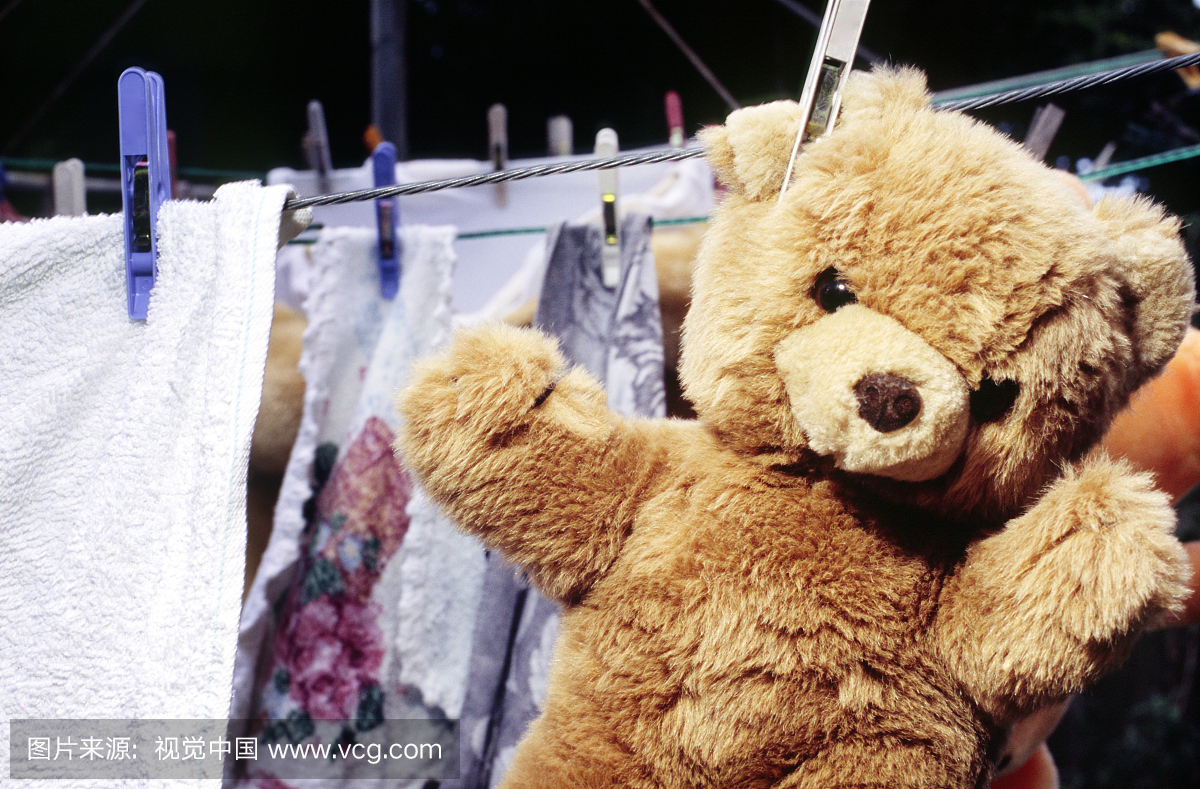 毛绒玩具玩具熊挂在晾衣绳上