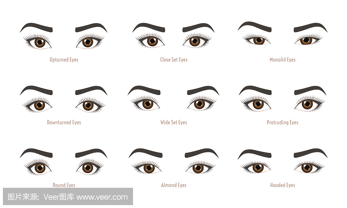 女人眼睛收集的类型。一套矢量眼睛形状。