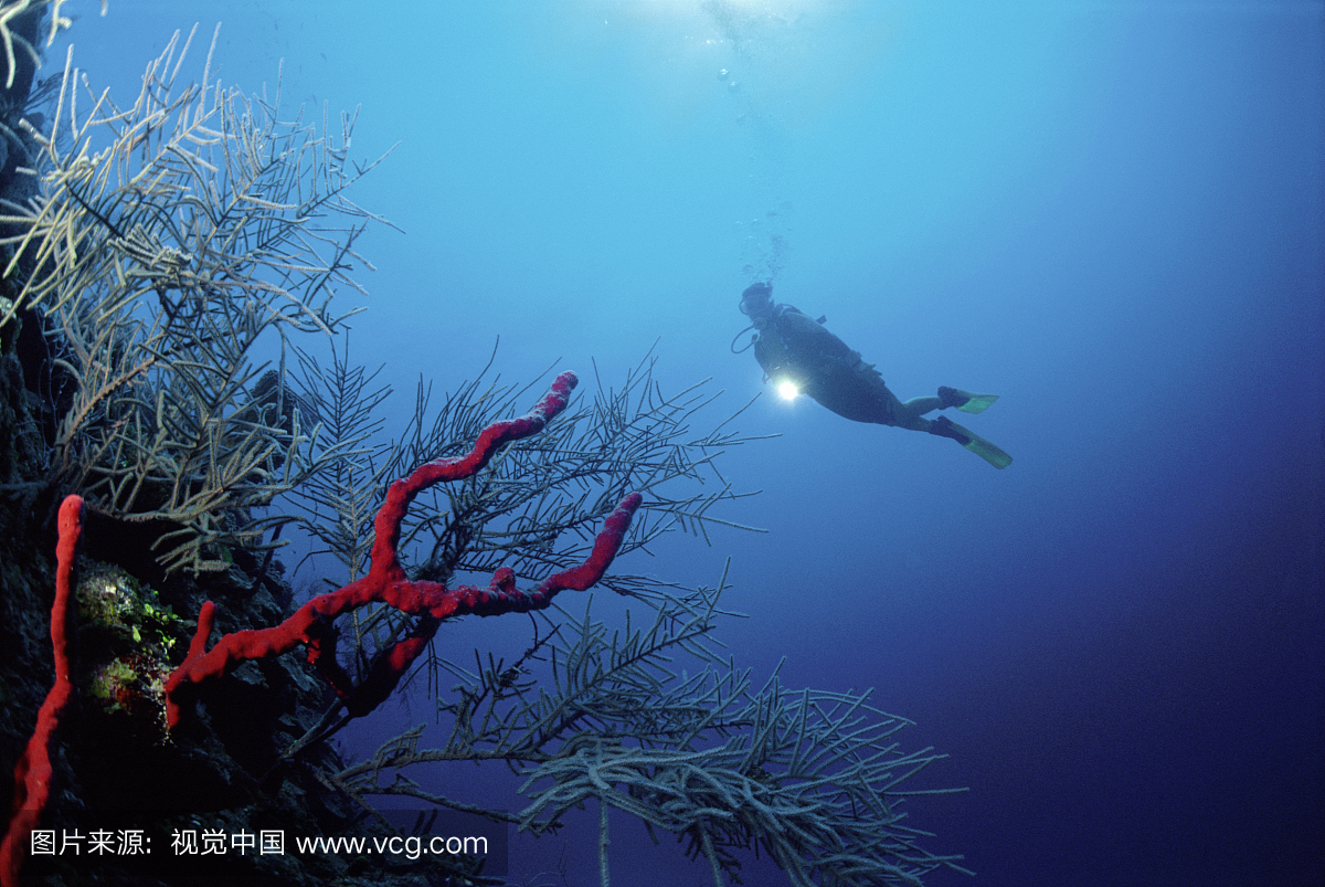 人,发现号,档案,一个人