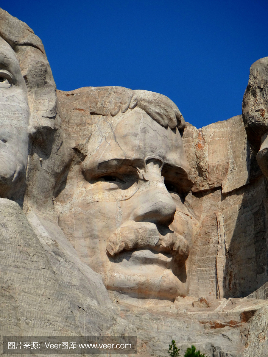 奥多·罗斯福总统,美国罗斯福总统,老罗斯福总