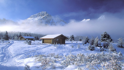 新唯美雪景桌面壁纸@狗壁纸采集到风景(93图-138kb