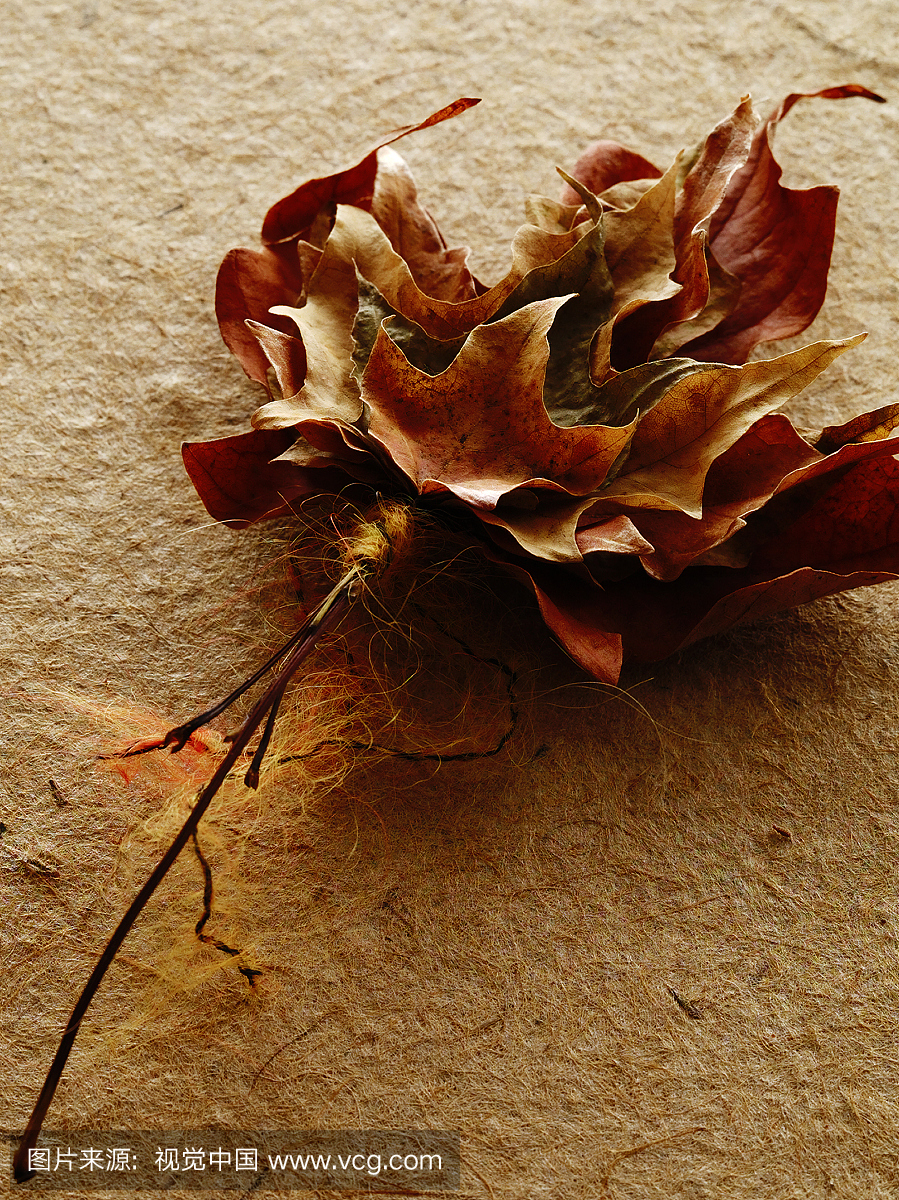 叶子在手工纸上,特写镜头