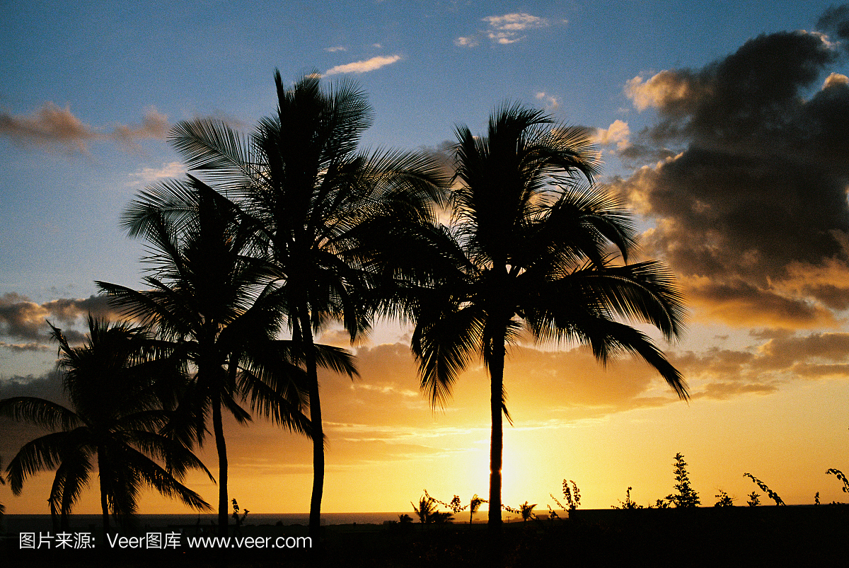 卡阿纳帕利沙滩,卡娜帕丽海滩,卡亚纳帕里,卡安