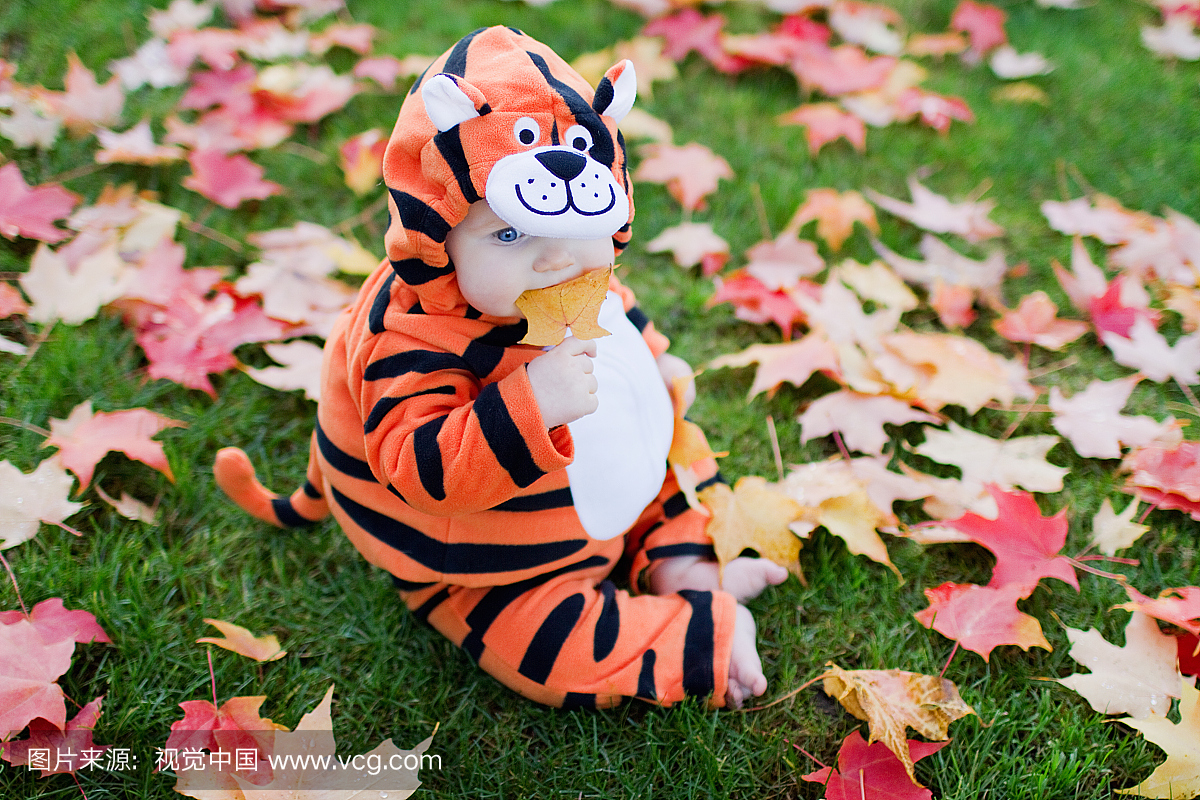 小女孩在老虎服装