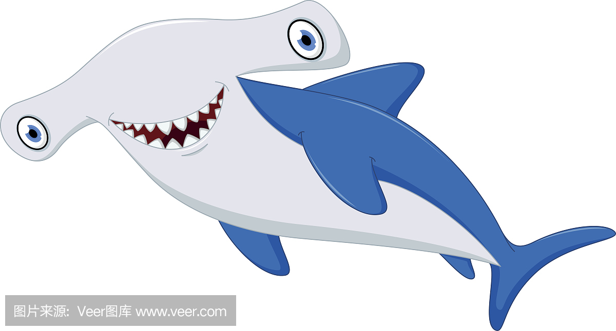 双髻鲨,锤头鲨,锤头双髻鲛,鲨鱼