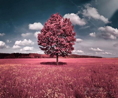 高清浪漫风景意境图_高清浪漫风景意境图图片大全