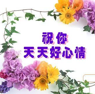 天天好心情 节日祝福 qq表情图片_qq魔法师-165kb