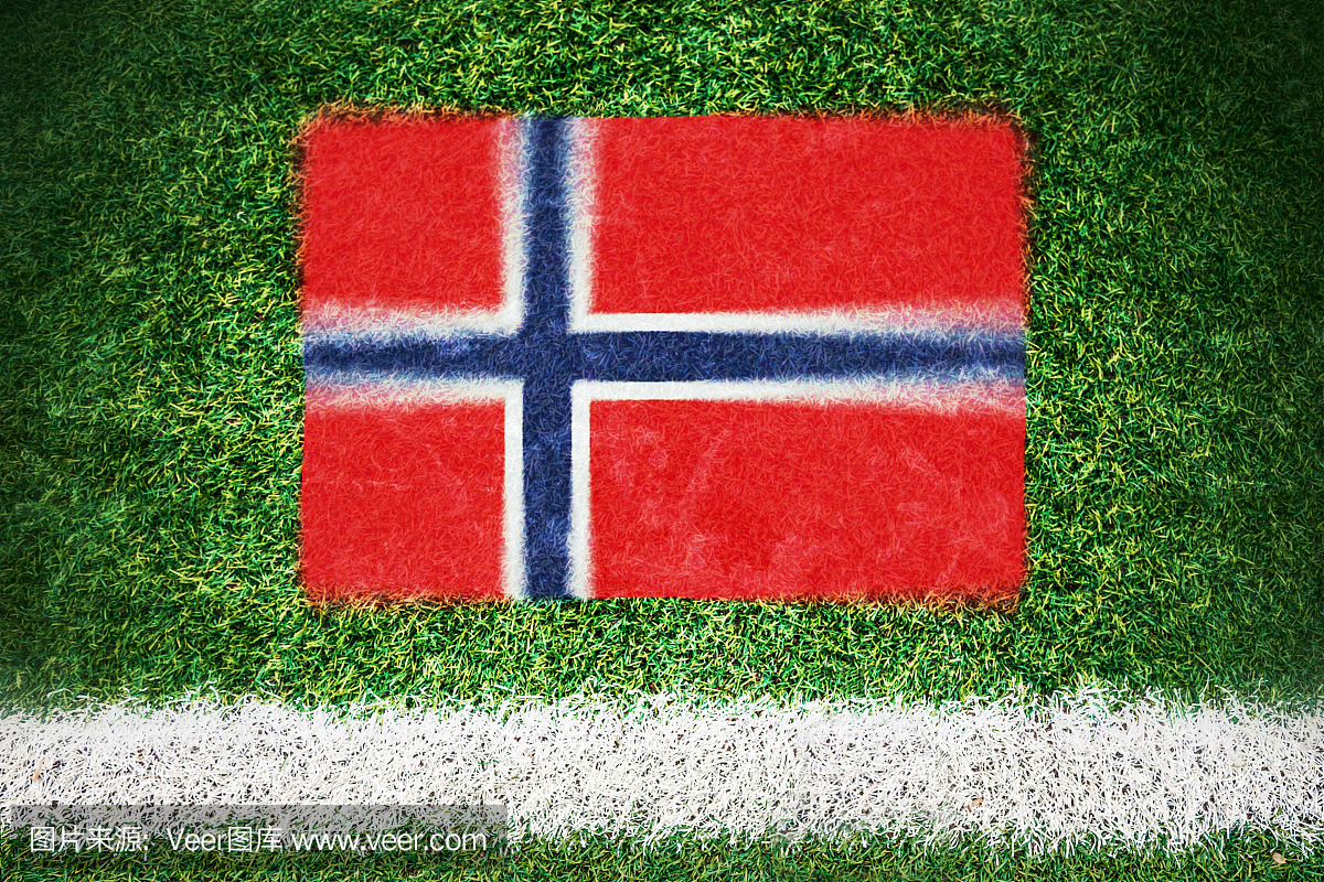 挪威国旗印在足球场上