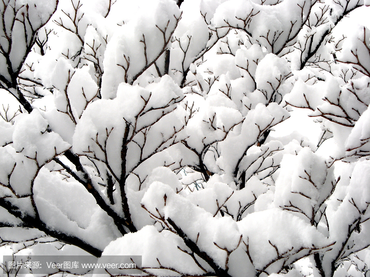 颤抖,打哆嗦,哆哆嗦嗦,冻地打冷战