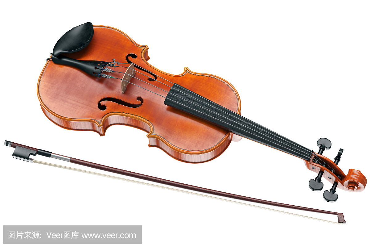 中提琴弦乐器