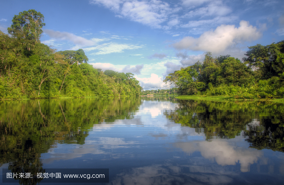 秘鲁雨林和亚马逊河的反思
