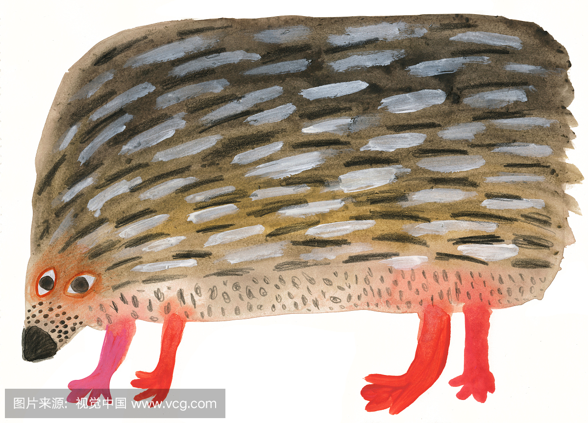 刺猬,猬,冬眠,过冬