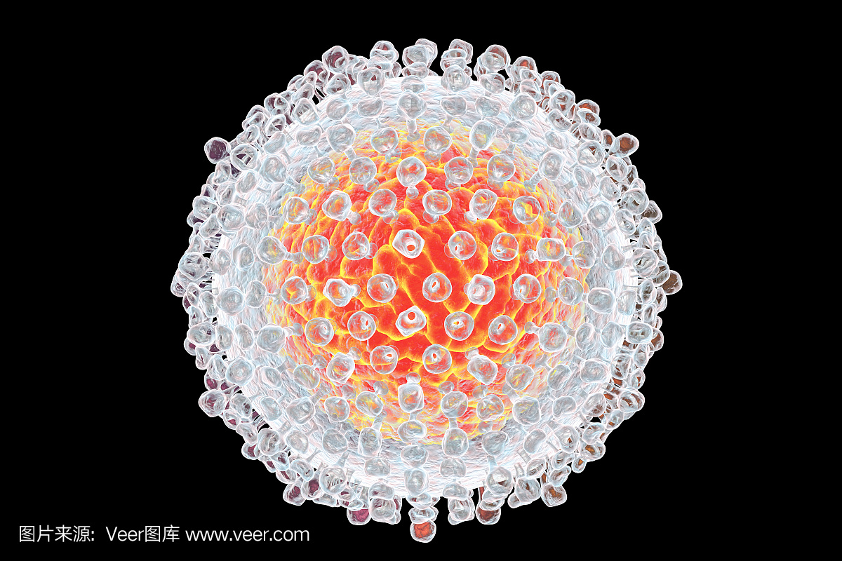 丙型肝炎,丙型肝炎病毒RNA,丙型肝炎病毒颗粒