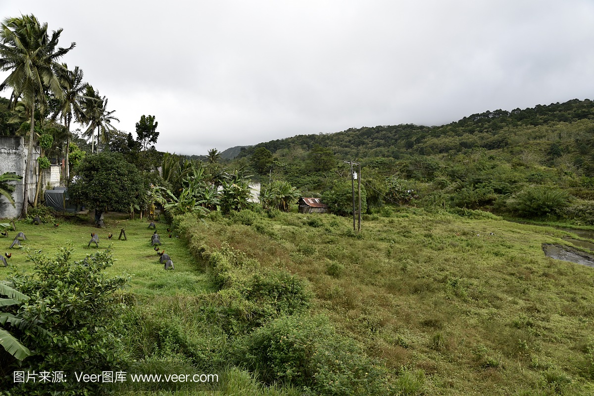 从圣地亚哥市到马尼拉的道路景观