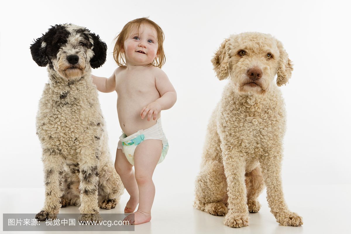 一个有两只狗的女婴