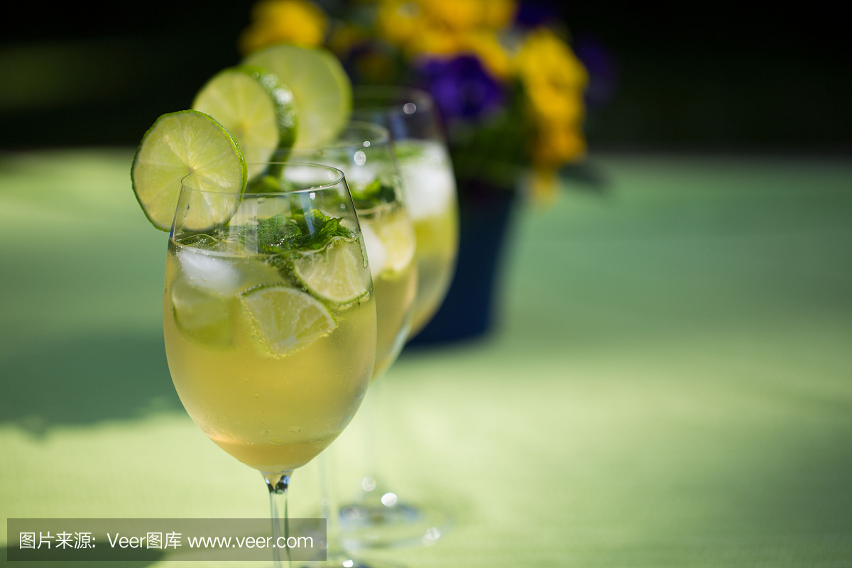 接骨木果,接骨木浆果,普罗赛柯起泡酒,水平画幅