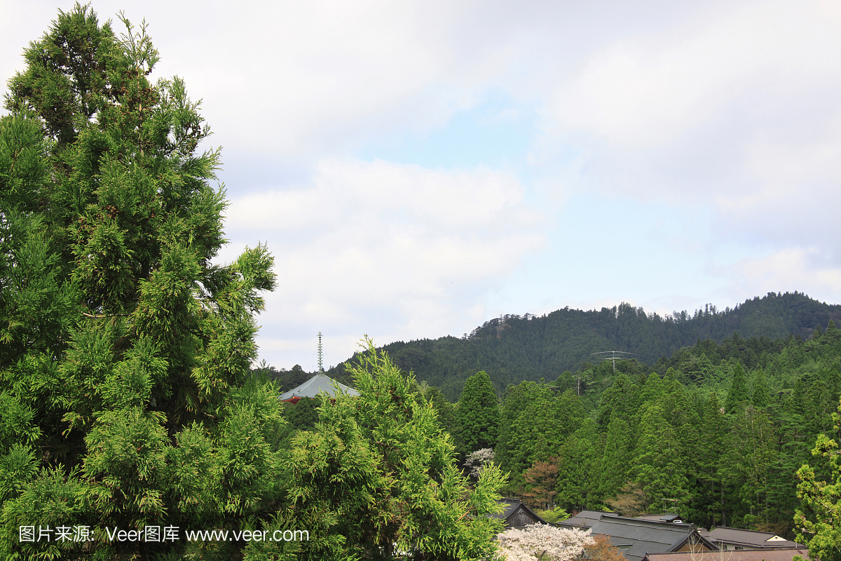 高南京,高野大山,和歌山县,本州岛西南岸港市野山灯会洲白鹭的赞美图片