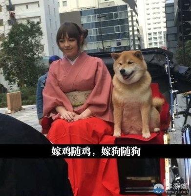 有内涵但很污的图片