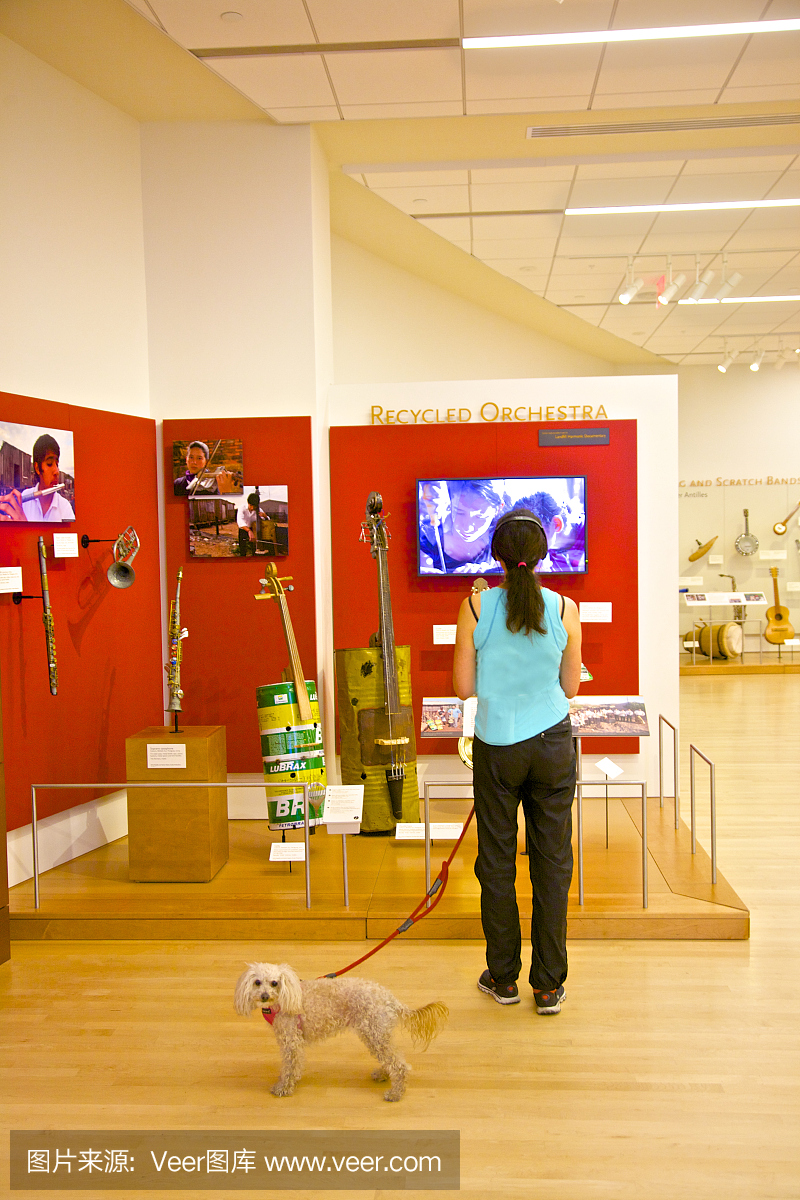 凤凰乐器博物馆展出空间中的女人和狗
