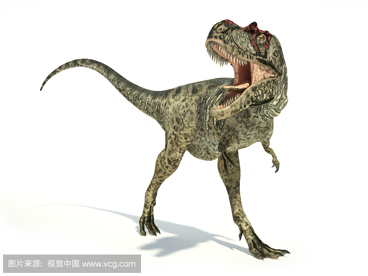 史前时代,阴影,侏罗纪,艾伯塔龙