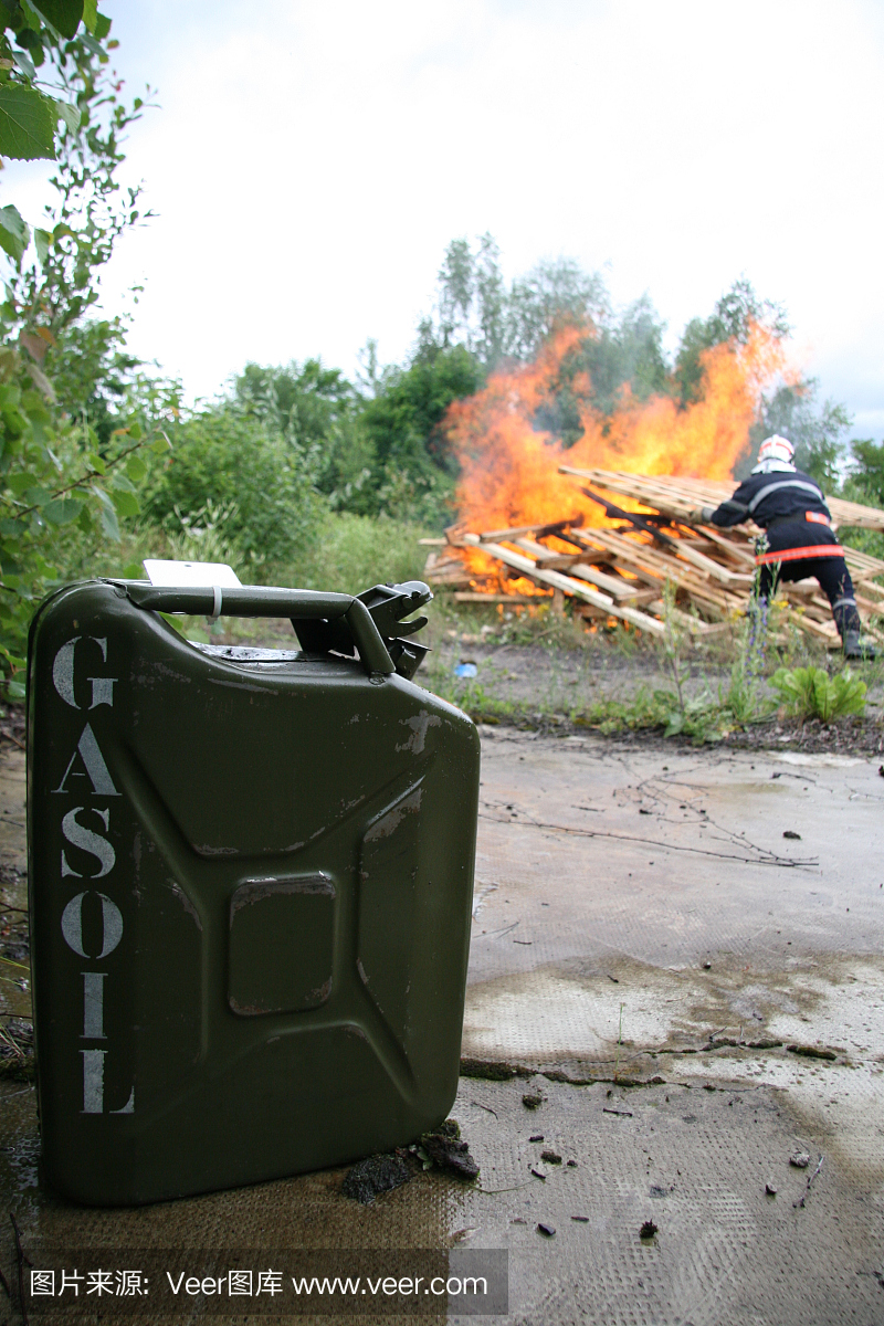 森林火灾,野火,森林大火,森林着火