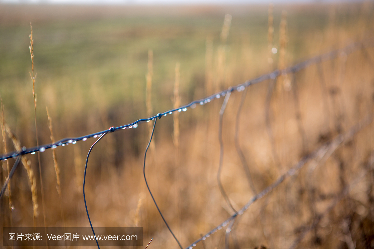 关闭雨滴在铁丝网上