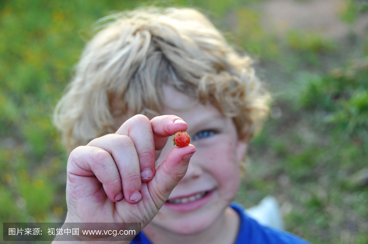 男孩与浆果染色的手拿着一个微小的浆果