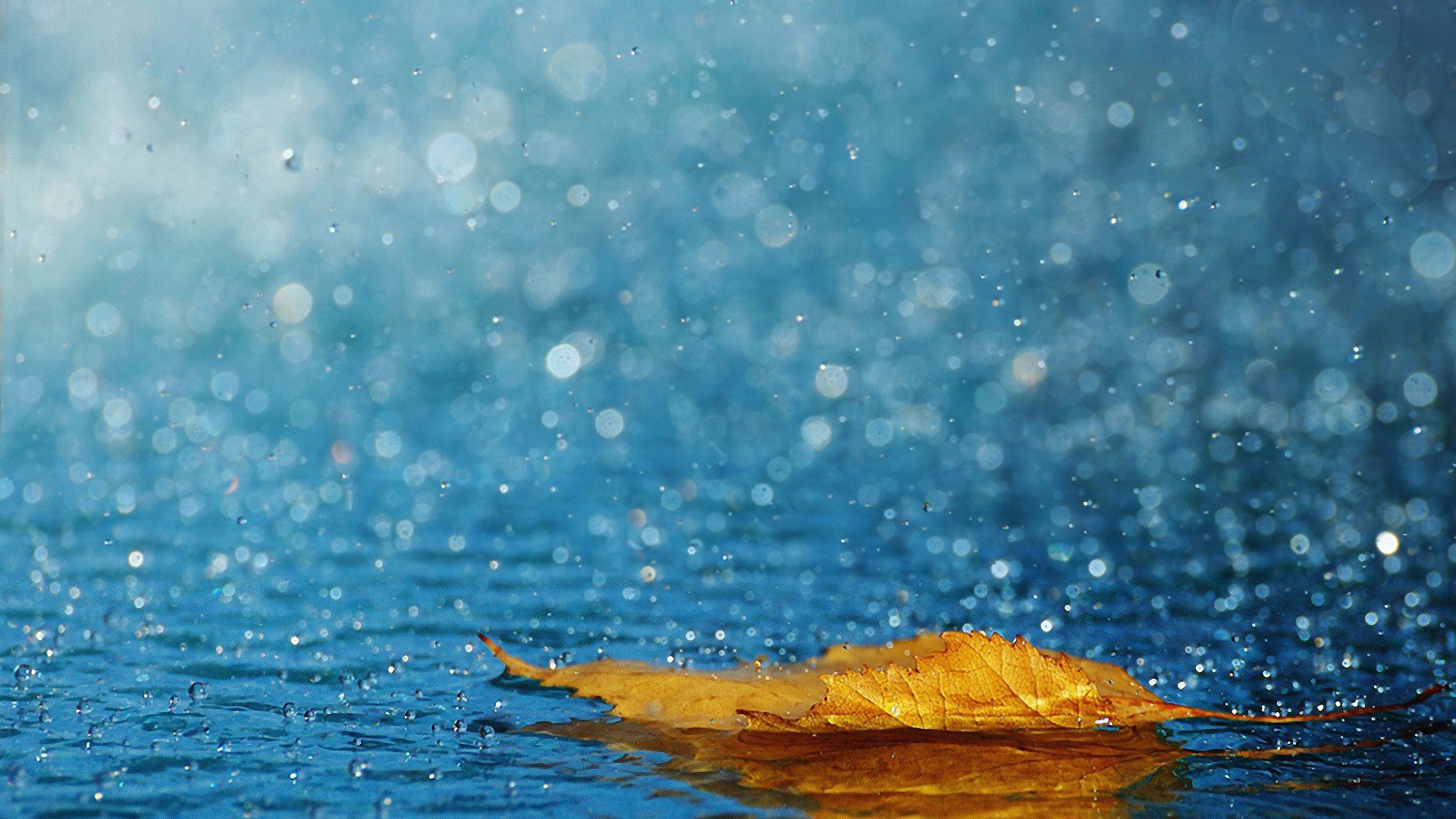 小清新 温暖 干净 安静 唯美 静物 物语 时光 清新淡雅 宁静安详-410