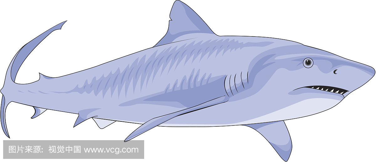 白色背景,背景分离,矢量,彩色图片