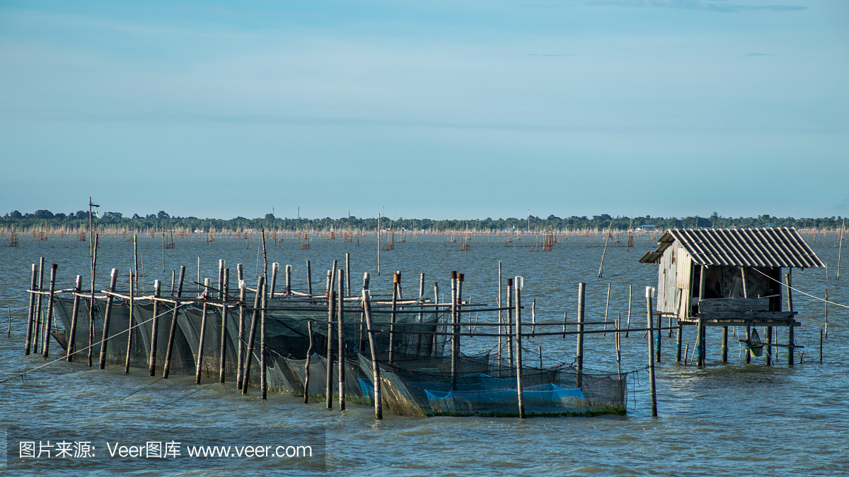 养鱼场,捕鱼场,海洋养殖,养鱼塘