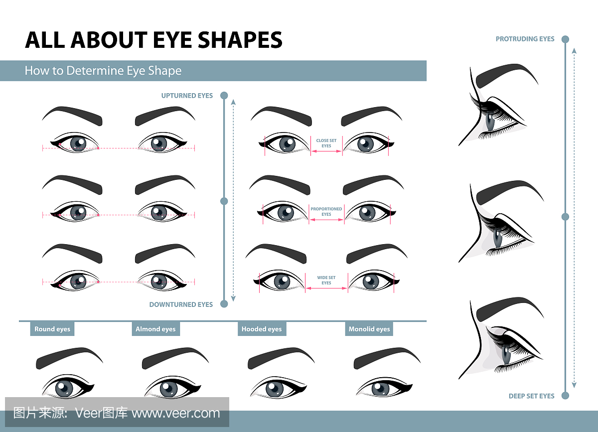 如何确定眼睛的形状。各种类型的女性眼睛。带