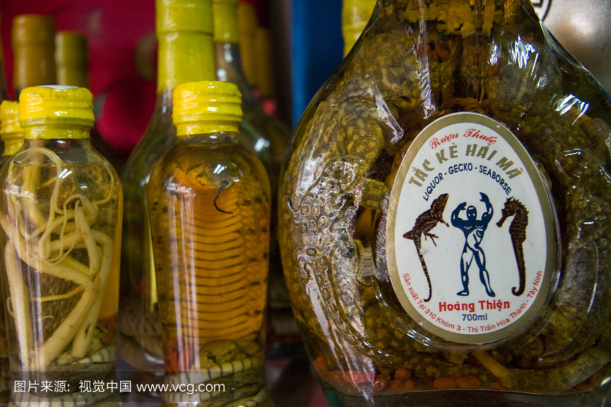 利口酒中的蛇和蜥蜴可在旅游店销售,Pho Hang