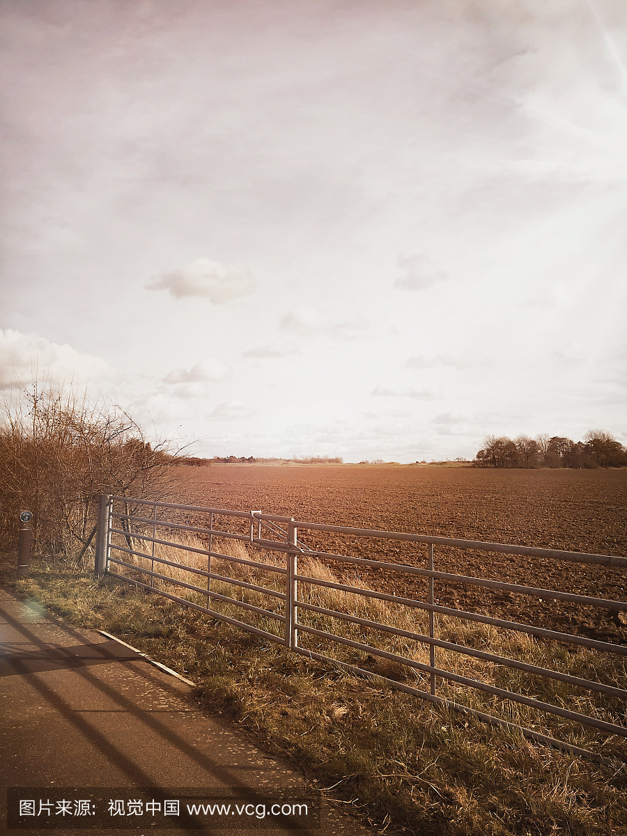 Suffolk farmland view