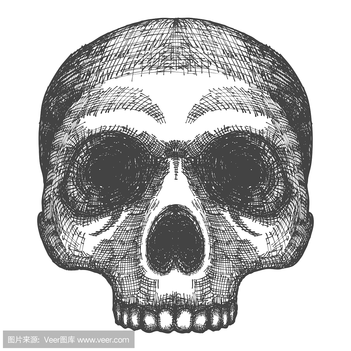 手绘图头骨。人类的头骨素描。黑色和白色插图