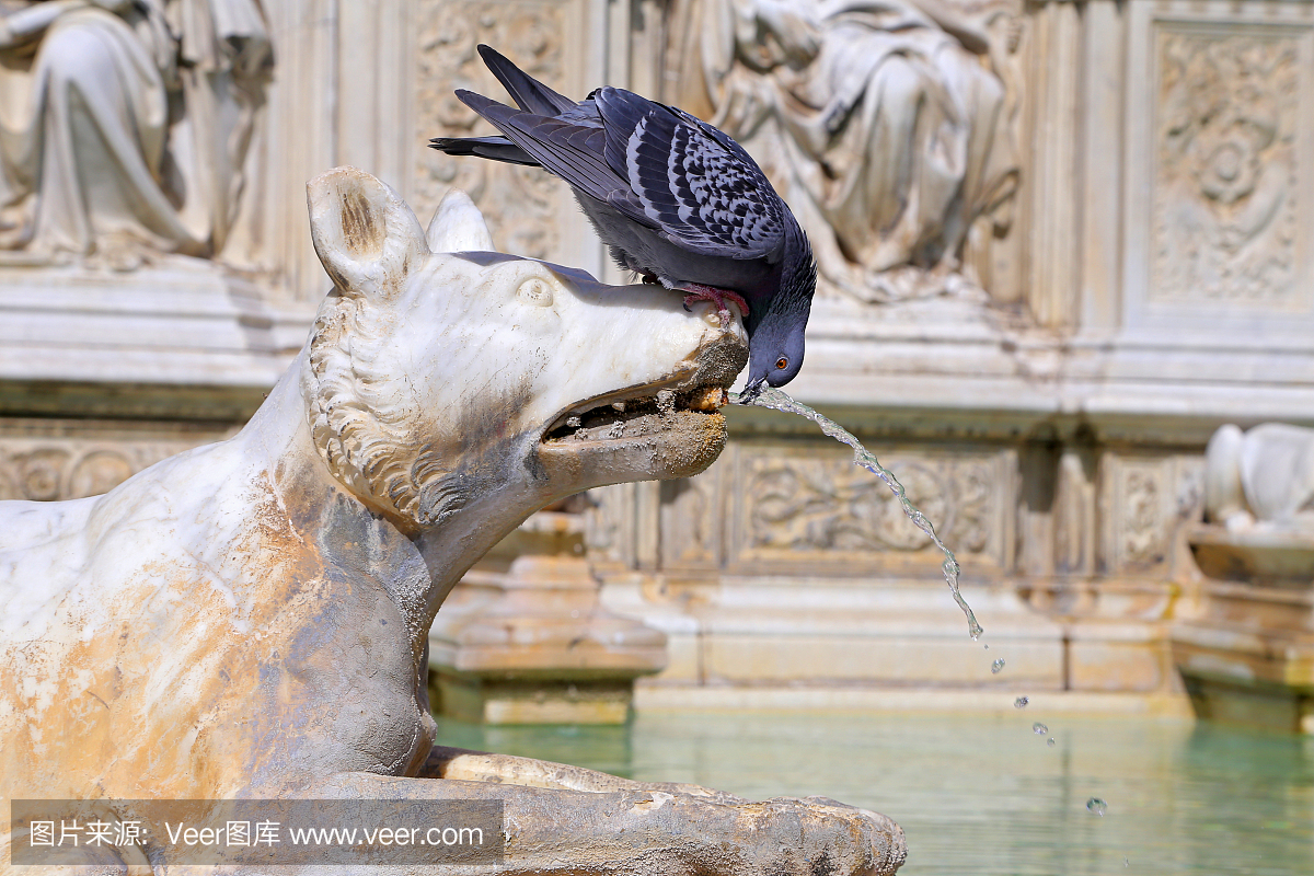 意大利锡耶纳广场德尔坎波的欢乐喷泉