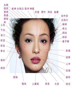 美容面部护理高清图郑州|全效面部护理|欧思帕-258kb 脸部美容美女