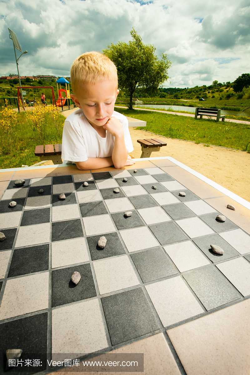 西洋跳棋,玩跳棋,下跳跳棋,玩跳跳旗