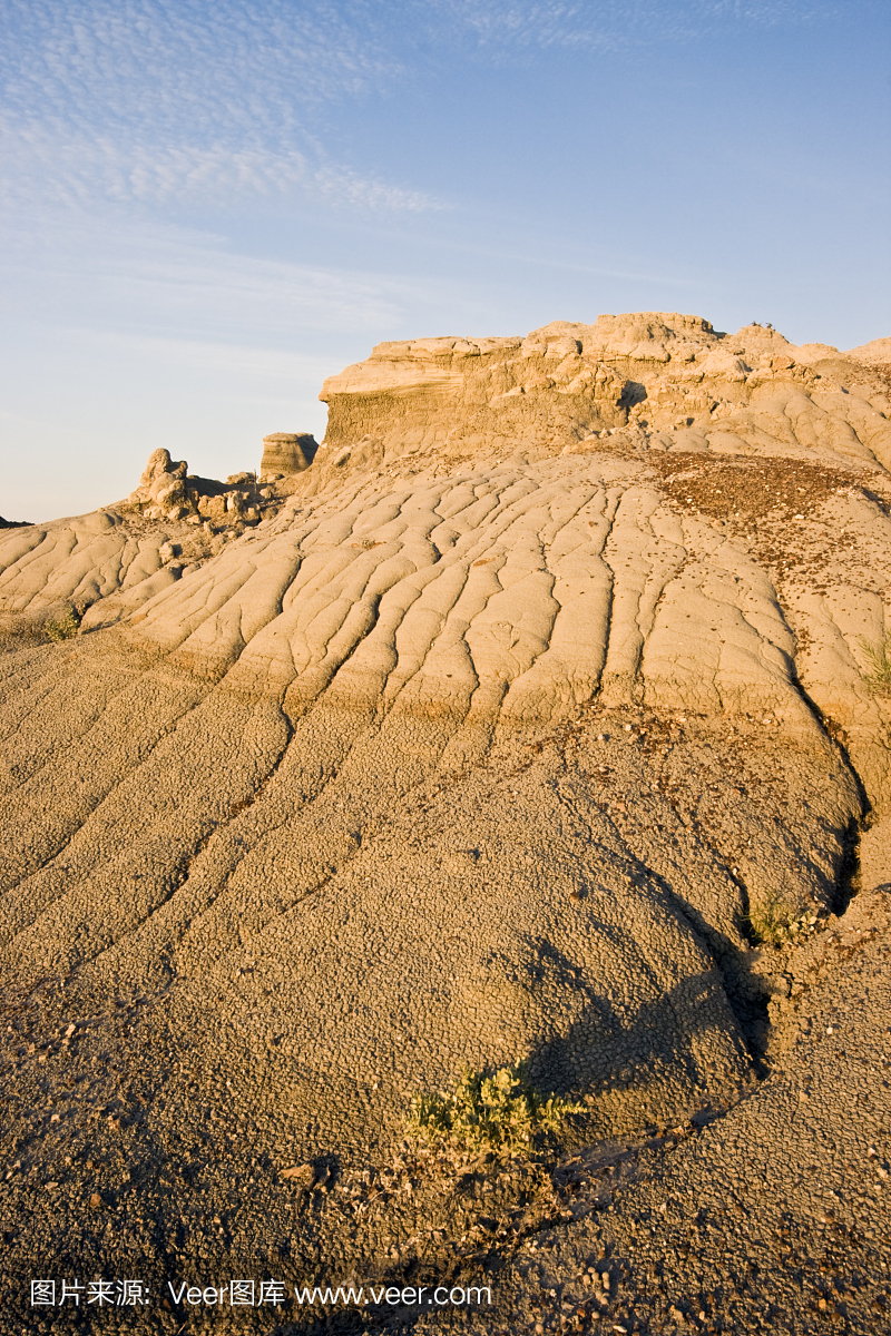 西奥多·罗斯福总统,老罗斯福总统,第26届美国