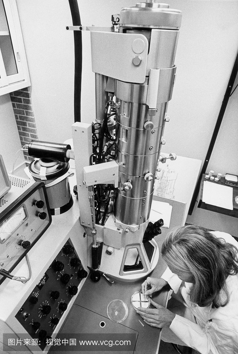 阿尔伯特爱因斯坦医学院研究员,布朗克斯,纽约