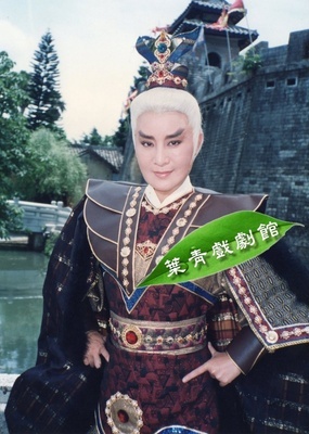 叶青歌仔戏图片