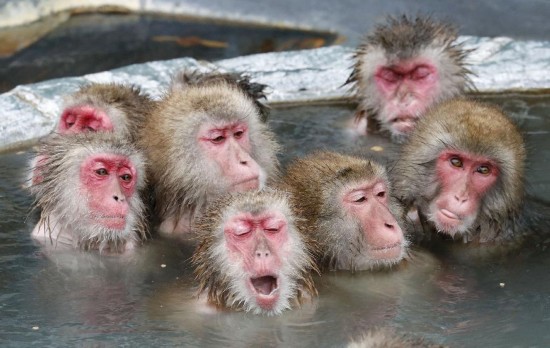 日本美女主播全裸泡温泉录制旅游节目(组图)中国娱乐网 日本美女植ゥ