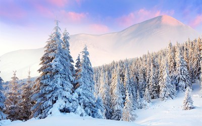 雪景高清壁纸大全